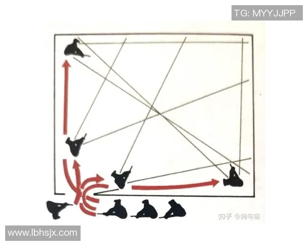 成都羽毛球队整体压制战术解析与实战应用探讨